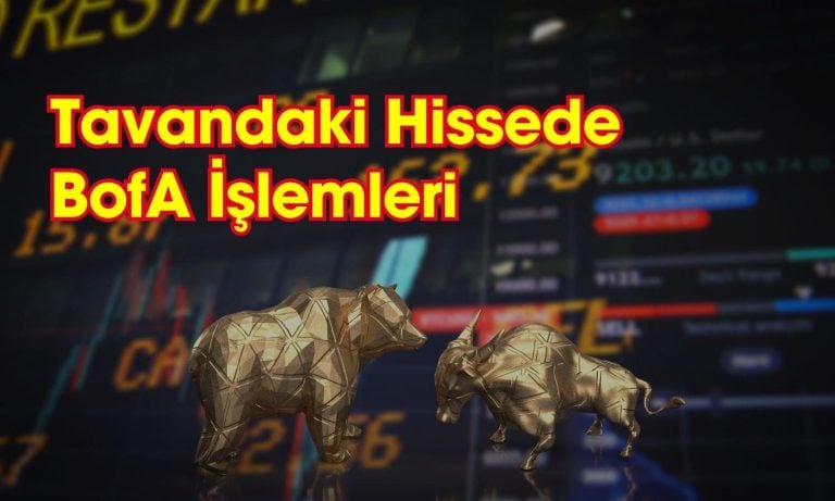 BofA Tavan Serisi Yapan Hissede Alım İşlemi Yaptı