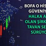 BofA’nın Alımları ile Halka Arz Hissesi Bu Hafta Tavan Oldu