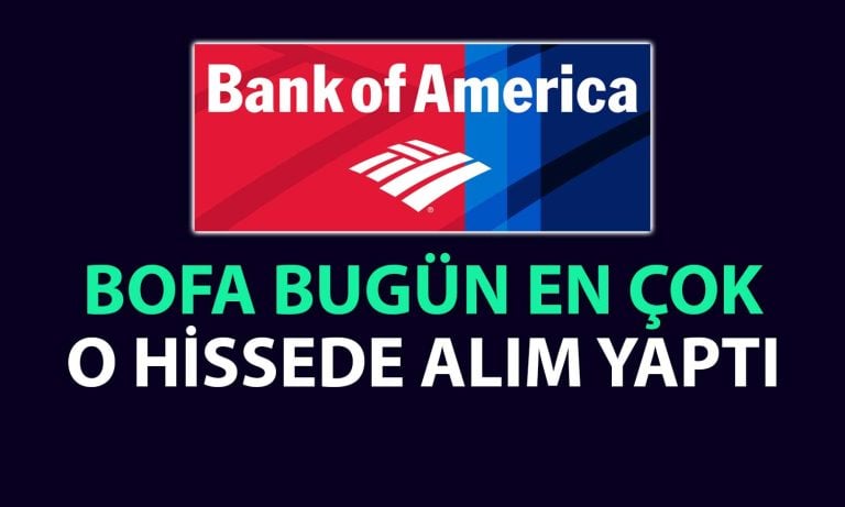 BofA’nın İlk Tercihi 303 TL Hedef Fiyatlı Holding Hissesi Oldu