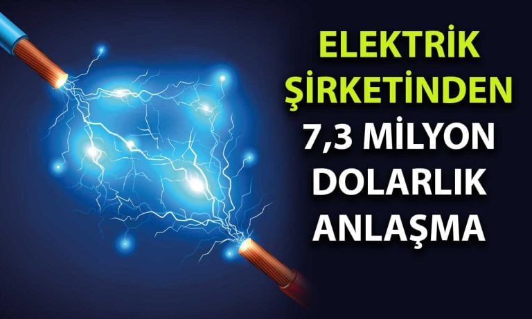 Borsada Bu Yıl Yüzde 50 Düşen Elektrik Şirketinden Yeni Anlaşma