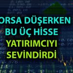 Borsada Düşüş Sürerken En Çok Bu Üç Hisse Yükseldi