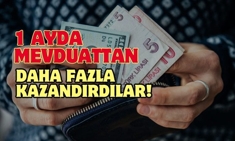 Bu Fonlar Mevduatı Yendi! Aylık Getiriler Ne Durumda?