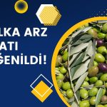 Cem Zeytin Halka Arz Fiyatı ‘Makul’ Bulundu