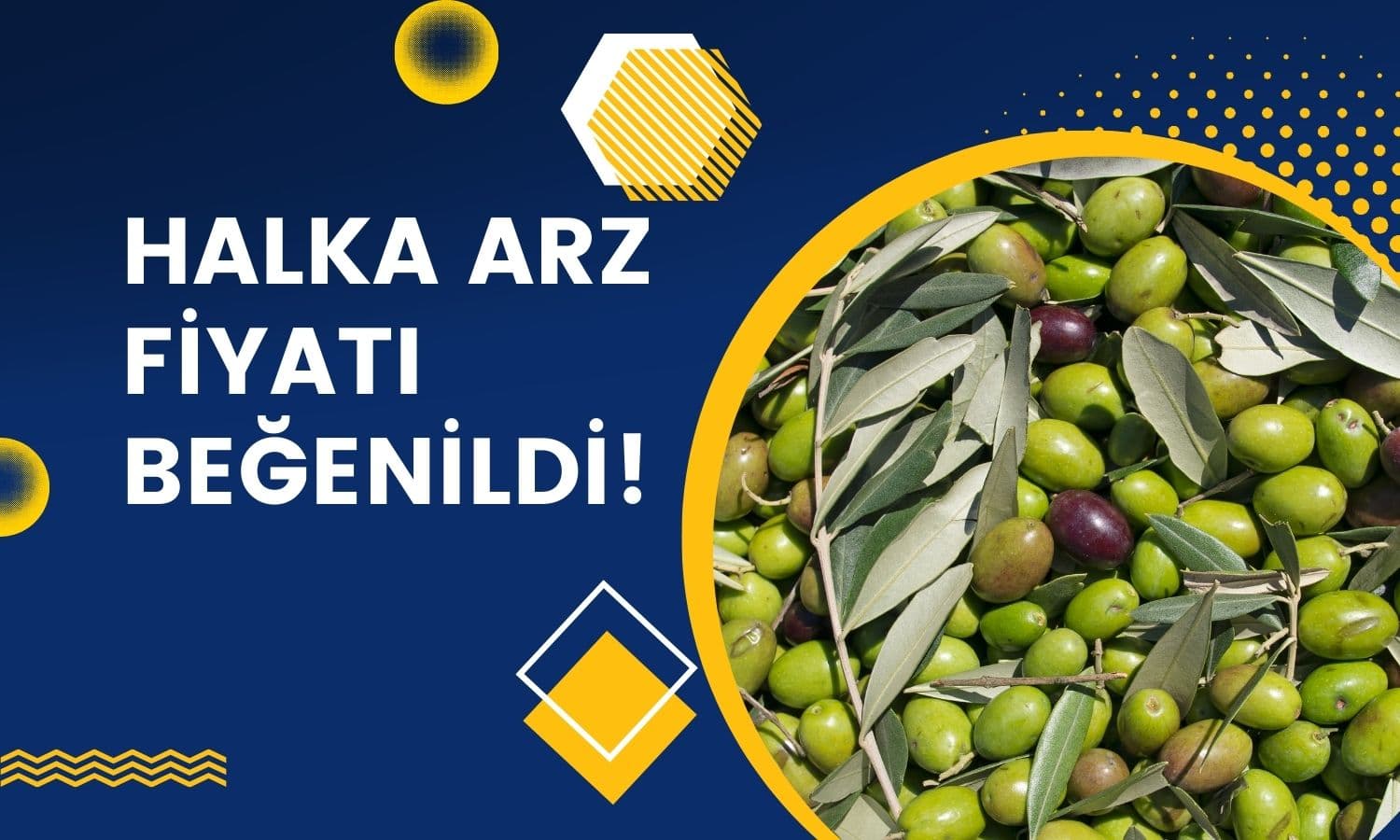 Cem Zeytin Halka Arz Fiyatı ‘Makul’ Bulundu