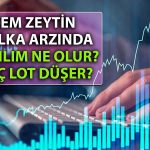 Cem Zeytin Halka Arzında Detaylar Netleşti: Kaç Lot Düşer?
