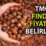 Fındık Üreticisi Fiyatları Bekliyordu: TMO Açıkladı
