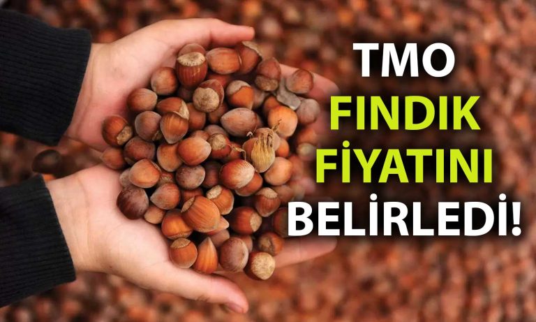 Fındık Üreticisi Fiyatları Bekliyordu: TMO Açıkladı