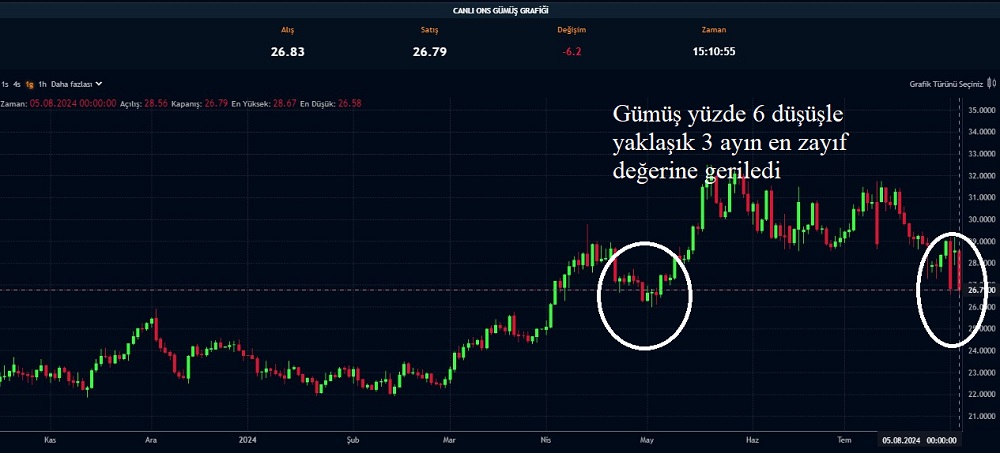 Gümüş Yüzde 6 Düşüş