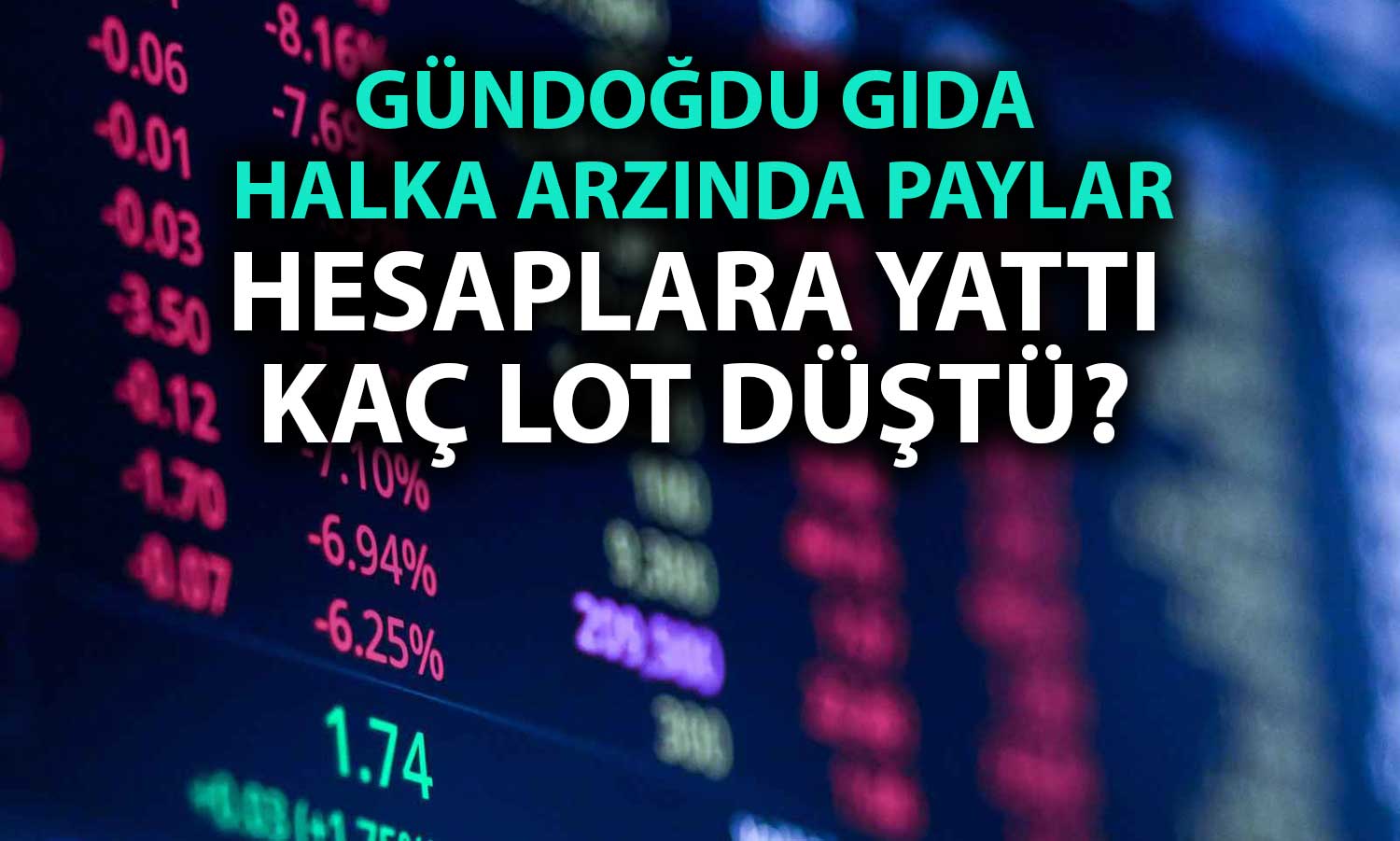 Gündoğdu Gıda Halka Arzında Dağıtım Yapıldı: Kaç Lot Düştü?