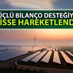 Hasılatı Yüzde 83 Artan Enerji Şirketinin Hissesi Tavan Oldu