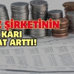 Hisseleri Düşen Şirketin Net Kârı Yüzde 307 Arttı