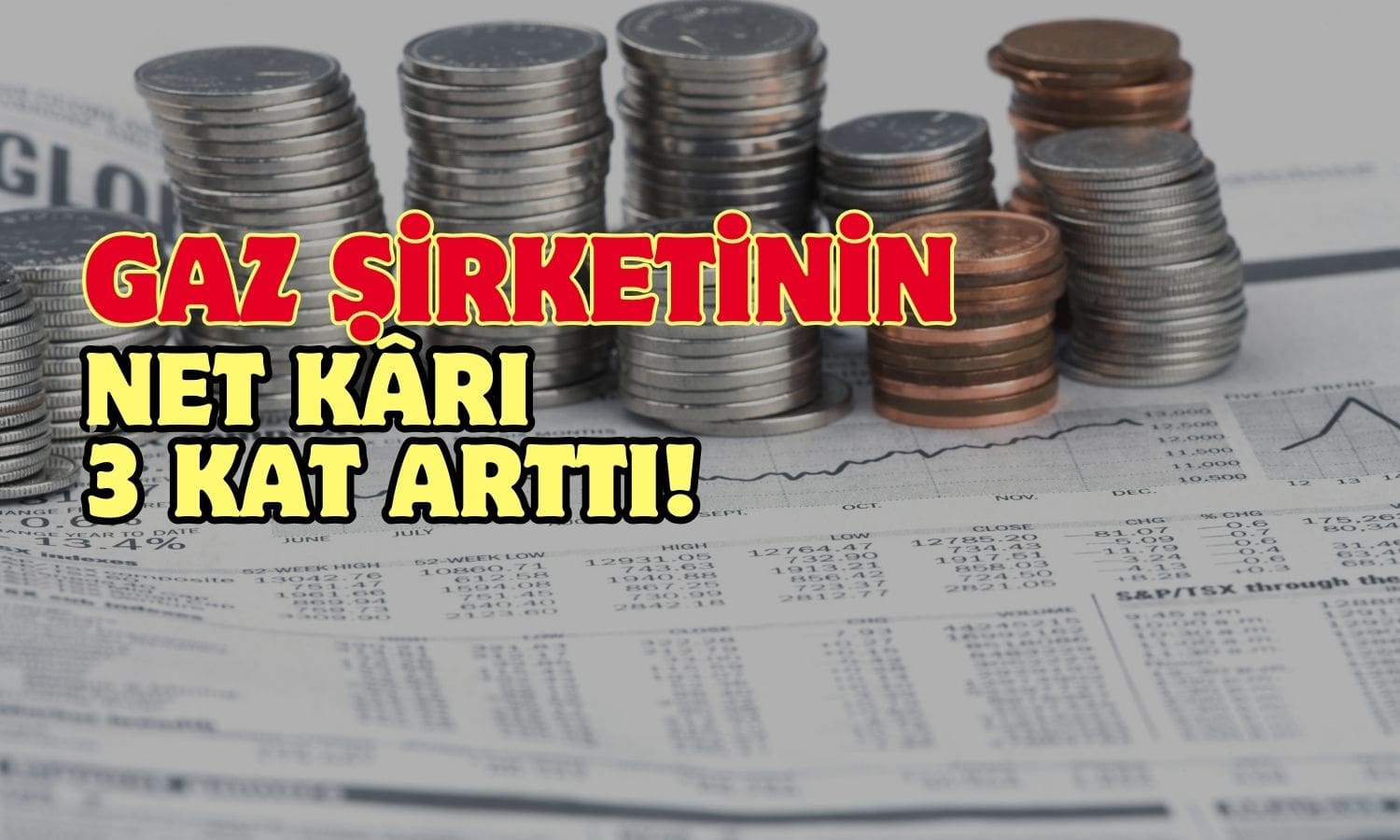 Hisseleri Düşen Şirketin Net Kârı Yüzde 307 Arttı