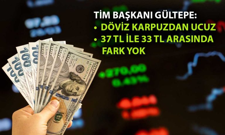 İhracatçı Dolardan Yakınıyor: Türkiye’de En Ucuz Şey Döviz