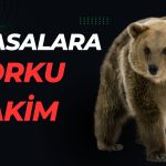 Küresel Yatırımcılar için Büyük İkilem: Dipten Alım mı Satış mı?