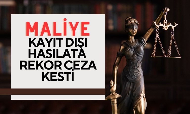 Maliye Kayıt Dışılıkla Mücadelede Rekor Ceza Kesti