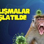 Maymun Çiçeği Çalışmalarına Başladı! Yine Tavan Gelir mi?