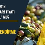 Talep Toplamaya Bugün Başladı! CEMZY Fiyatı Uygun mu?