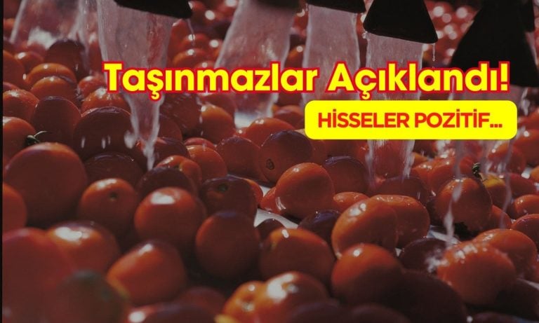 Taşınmazlarını Açıklayan Gıda Şirketi Kazanca Geçiyor