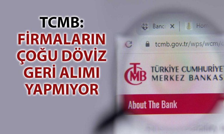 TCMB’den İhracat Bedeli Satış Yapan Şirketlerle İlgili Analiz