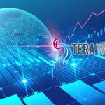 Tera Yatırım Siber Güvenlik Şirketinin Hisseleri Satın Alıyor