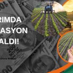 TÜİK’in Temmuz Raporuna Göre Tarımda Enflasyon Azaldı