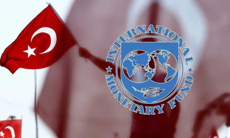 Türkiye IMF Tabanlı Göstergede İdeal Seviyenin Altında