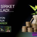 Yüzde 310 Kazandıran Şirket İlk Yeşil Kredisini Kullandı