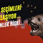 ABD Seçimlerinde Büyük Tehlike: Piyasalar Çökebilir