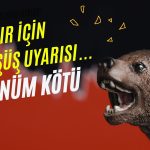 Bakır için Düşüş Uyarısı: 2024 Bitmeden Bu Seviye Görülebilir