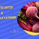 Bor Şeker 800 Bin Euro Bedelinde Yatırım Açıkladı