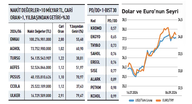 Borsada Kasası Nakit Dolu Şirketler: ENKAI, PGSUS Listede