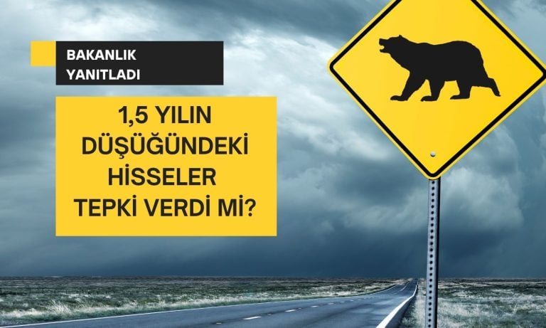 ÇED Kararı 1,5 Yılın En Düşüğündeki Hisseleri Etkiledi mi?