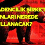 Düşüşün Derinleştiği Şirketten Fon Kullanımı Açıklaması