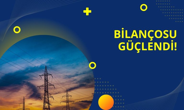 Elektrik Şirketinde FAVÖK Coşkusu! Yüzde 108 Artış