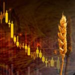 FAO Açıkladı: Küresel Gıda Fiyatları Ağustos’ta Geriledi