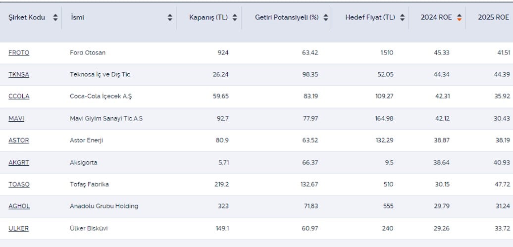 Getiri Potansiyeli Yüksek 9 Hisse! FROTO ve ASTOR Listede