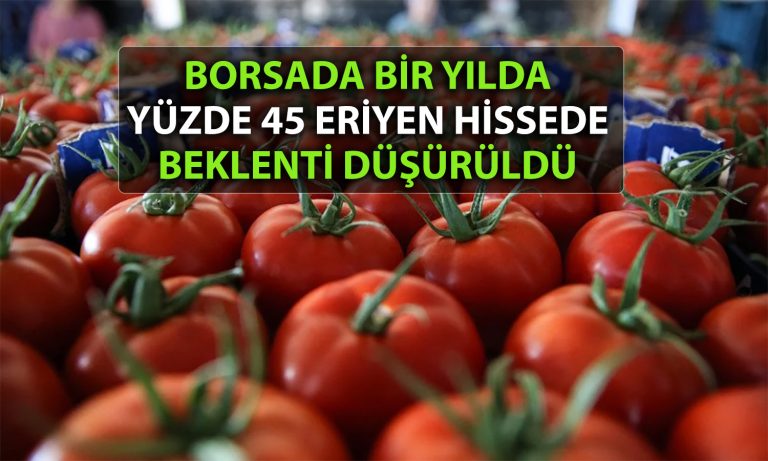 Gıda Hissesinde Net Zarar Etkisi: Hedef Fiyat 30 TL’ye Düşürüldü!