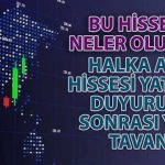 Halka Arz Hissesi Yüzde 30 Düşüş Sonrası Toparlandı: Tavan Oldu