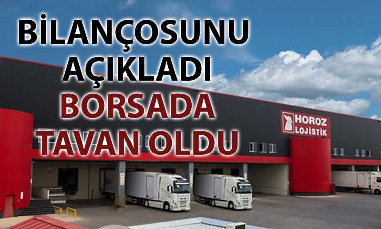 Halka Arz Olan Lojistik Şirketinin Karı Arttı: Borsada Tavan Oldu