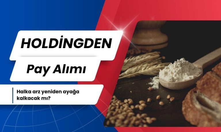 Holding Bünyesindeki Halka Arz Şirketinden Büyük Pay Aldı