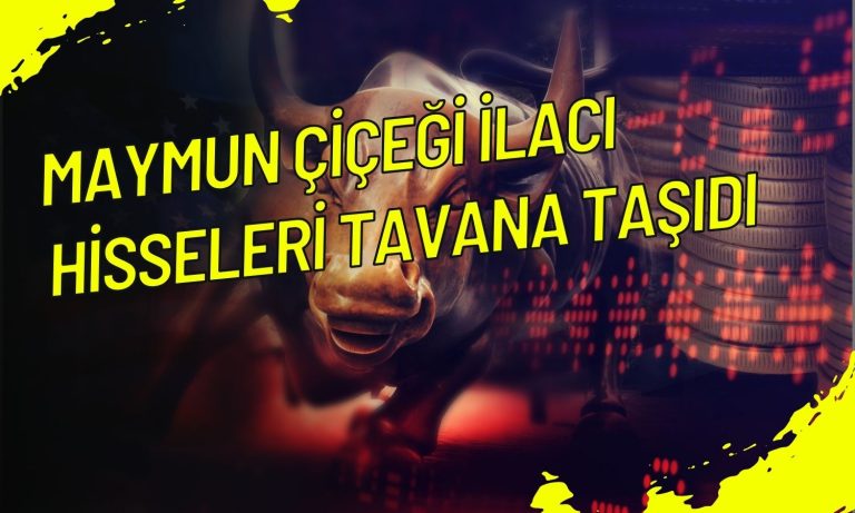 İlaç Şirketinin Hisseleri Maymun Çiçeği Tedavisi ile Tavan