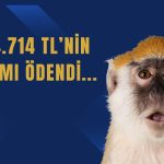 Maymun Çiçeğiyle Yükselen Sağlık Şirketinden İştirak Açıklaması