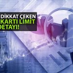 OVP’de Çarpıcı Detay: Kredi Kartı Limitlerine Düzenleme mi Geliyor?