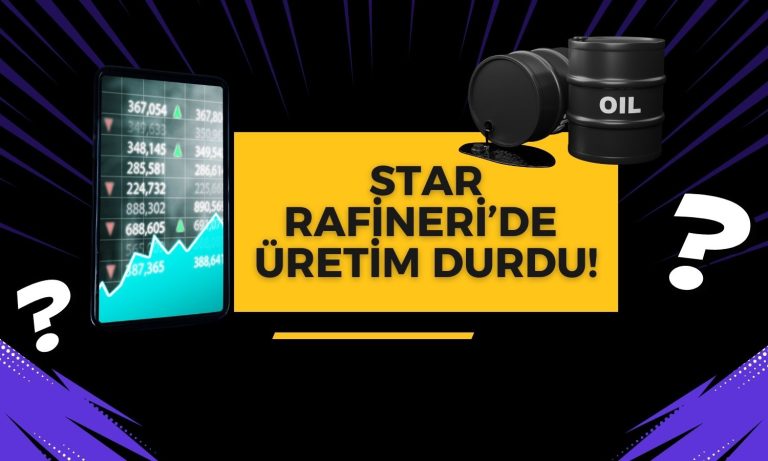 Petkim Duyurdu: Rafineride Üretim 2 Aylığına Durdu