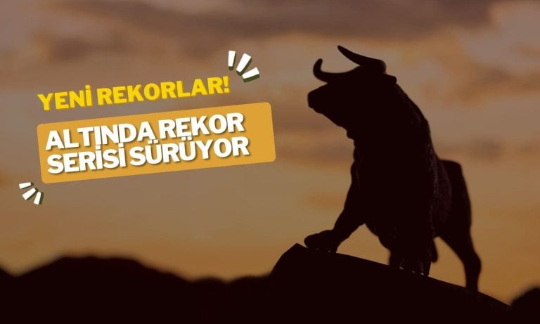 Rekorlar Peş Peşe Geliyor! Gram 2900 TL’ye Dayandı