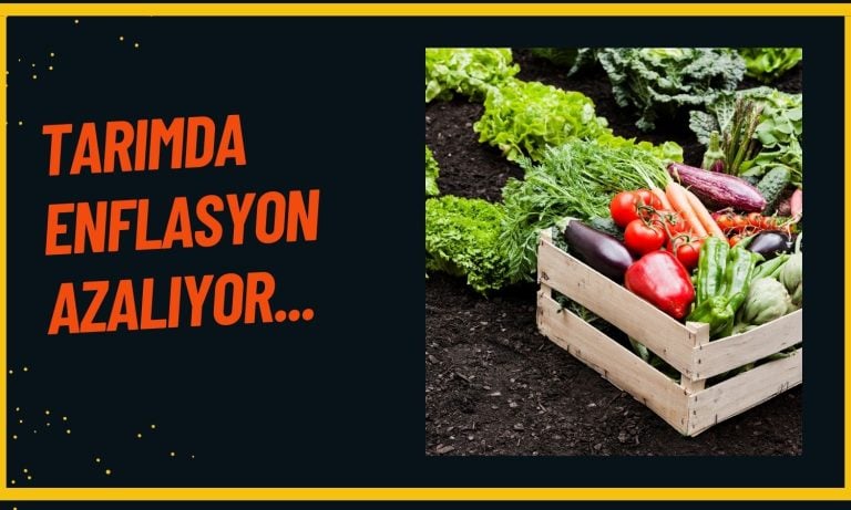 Tarımda Enflasyon Ağustos’ta Yine Azaldı