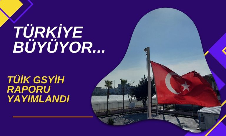 Türkiye 2. Çeyrekte Yüzde 2,5 Büyüdü: Net Değer 308 Milyar Dolar