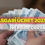 Uzman Asgari Ücret için Konuştu: Bu Rakam Şaşırtıcı Olmaz