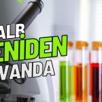 Yeniden Tavan Fiyatta! Aylık Kazanç Yüzde 123