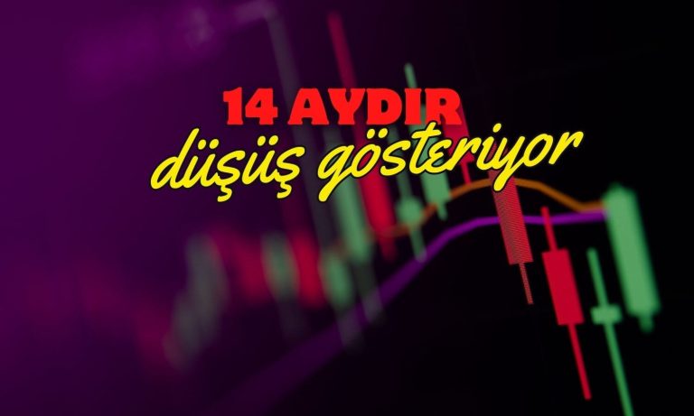 14 Aydır Düşen Hissede Holding Başkanı Alım Yaptı